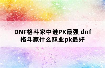 DNF格斗家中谁PK最强 dnf格斗家什么职业pk最好